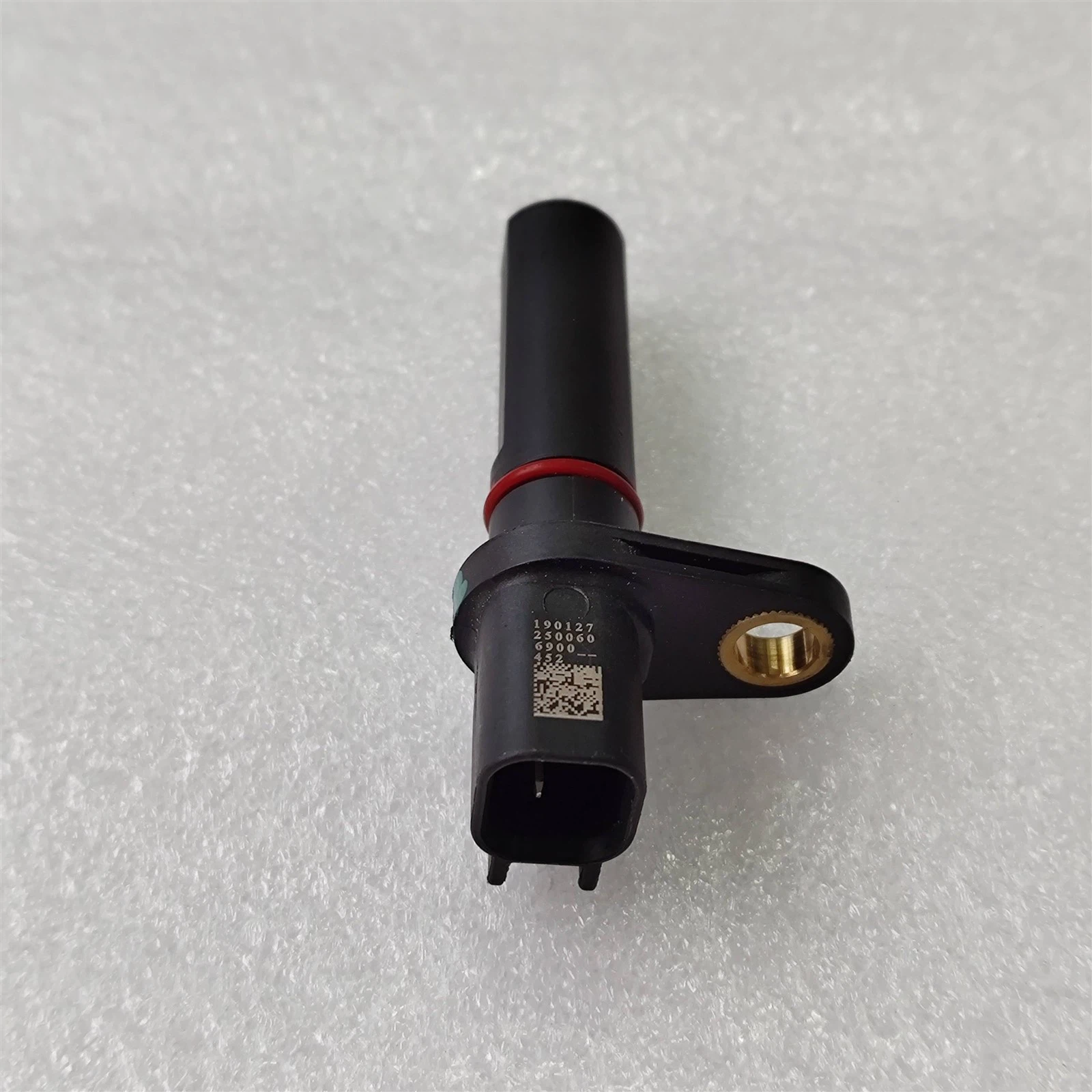 IMG20250411173816 IMG20250411173816